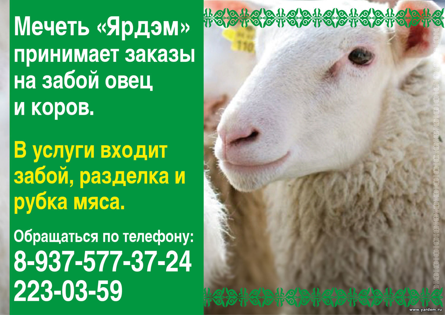 Мечеть "Ярдэм" продолжает принимать заявки на Курбан байрам. Общие новости