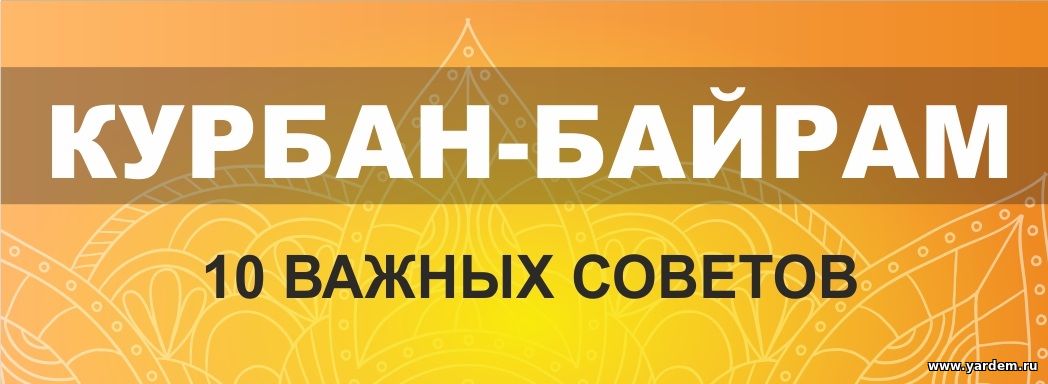 10 важных советов на Курбан байрам. Общие новости