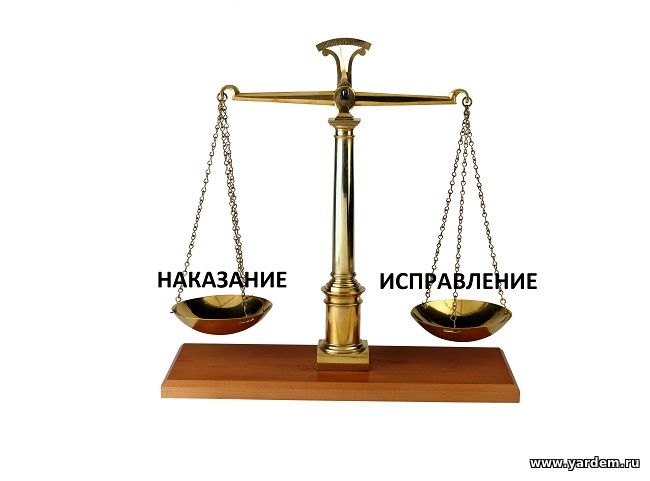 Исправление или наказание? О роли тюремного заключения