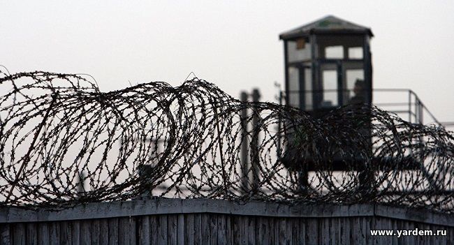 О зарождении тюрем: российский и мировой контекст. Статьи