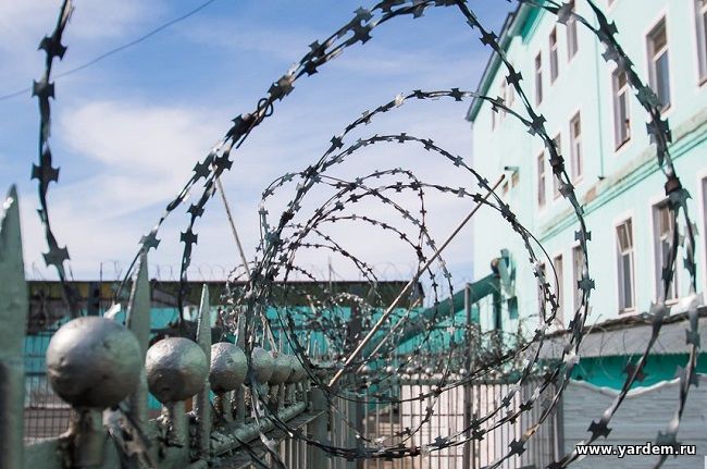 Сибирь как место рождения российской тюрьмы. Статьи