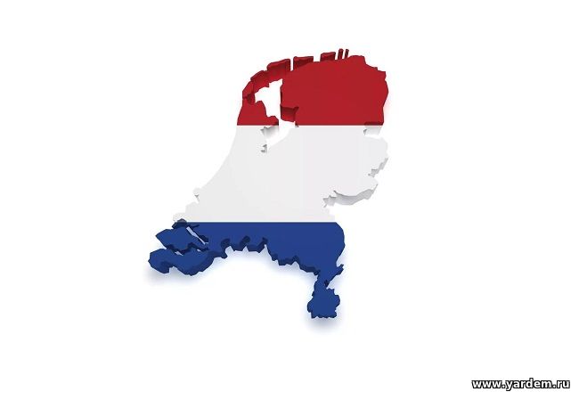 Почему закрываются тюрьмы в Нидерландах?. Статьи