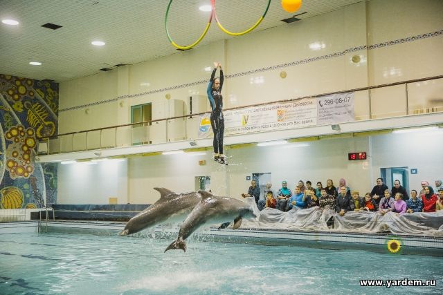 Реабилитанты курса «Поддержим друг друга» посетили Казанский дельфинарий. Общие новости