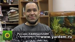 "Ярдэм" в лицах. Руслан Хамидуллин