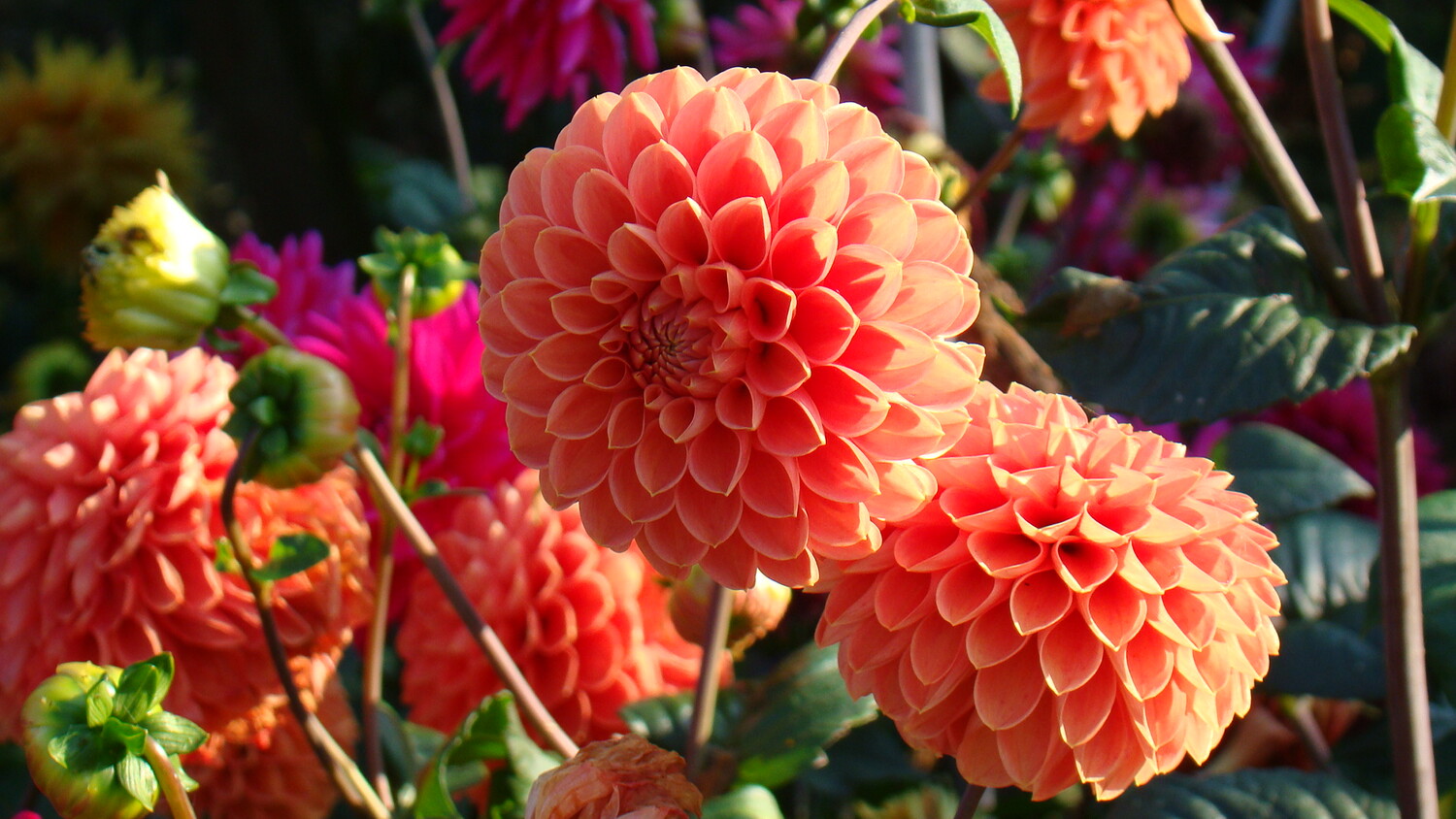 Первое заседание Апастовского районного Совета пятого созыва