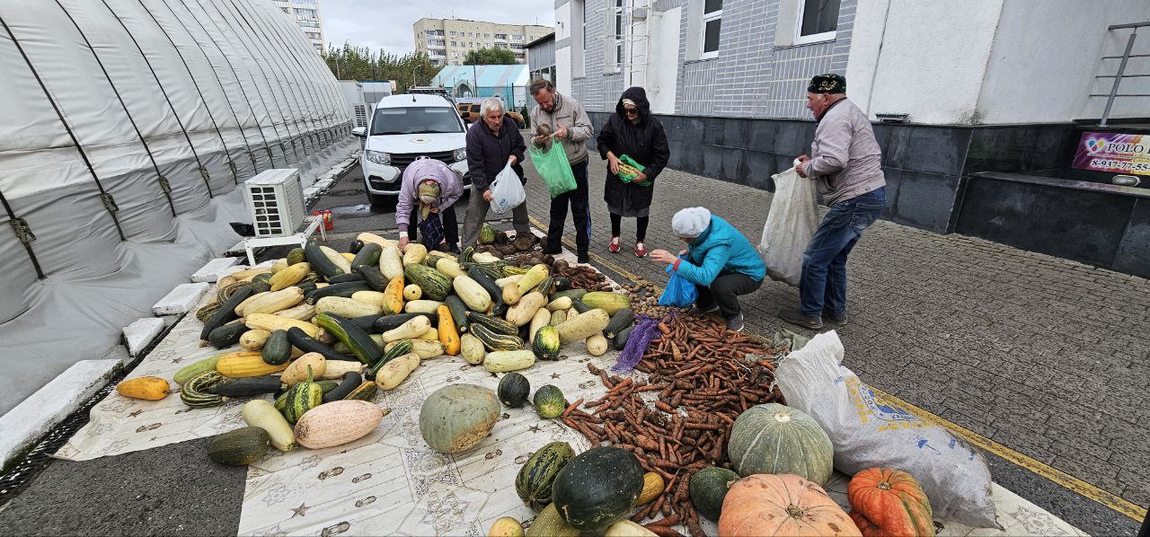 Продолжаем раздачу овощей нуждающимся